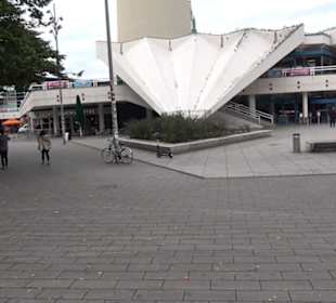 Körperwelten im Menschen Museum