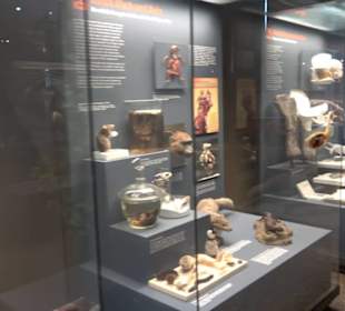 Museum der Naturkunde