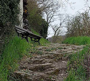 Wandern Kobern-Gondorf