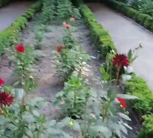 Real Jardín Botánico