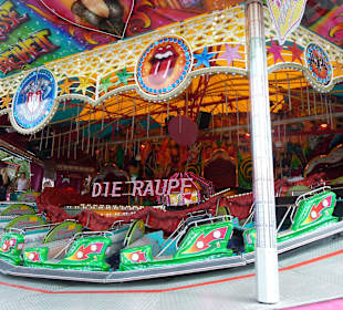 Die Raupe