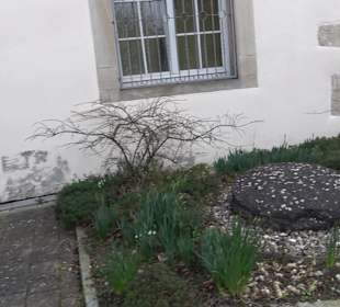 Altes Rathaus Neckartenzlingen
