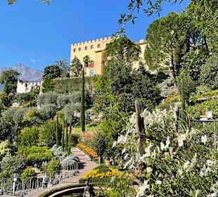 Blick auf das Schloss