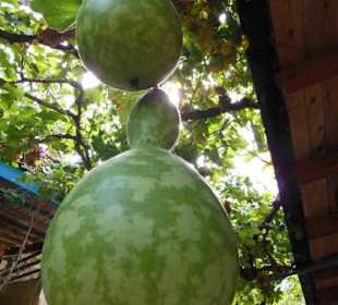 Mili Gorge Impression