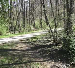 Sport- und Freizeitpark Markwasen