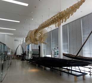 Rundgang durch das Schiffahrtsmuseum