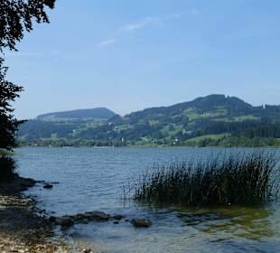 Niedersonthofener See