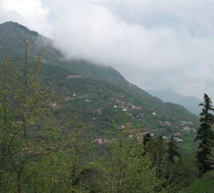 Blick zu einem Berdorf