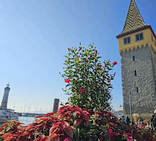 Mangturm