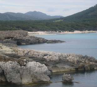 Seele baumeln lassen