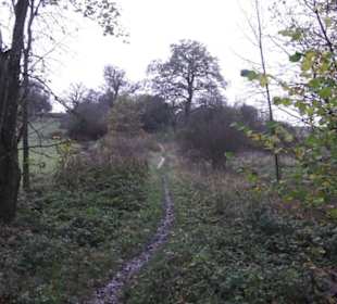 Naturschutzgebiet Listhof