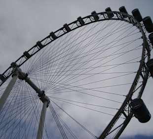 Singapore Flyer von unten