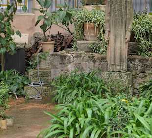 Besichtigung der Kartause von Valldemossas