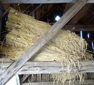 Der Dietelhof als Keimzelle des Museums