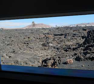 Blick auf die Lavafelder