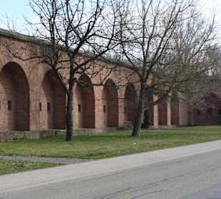 Die Carnot´sche Mauer