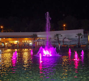 Аркадия, светомузыкальный фонтан