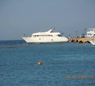 Die sunrise Yacht von Blue Waves