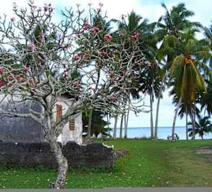 Vista dalla strada principale