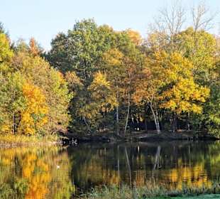Impressionen vom Rundgang am Achterdieksee