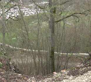 Wanderung rund um das Rusenschloss Gerhausen