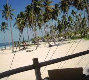 Strand vor dem Jellyfish