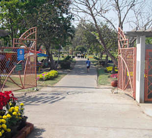 Nong Prajak Park