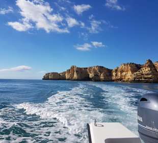 Taruga Benagil Tours 