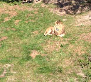 Safaripark