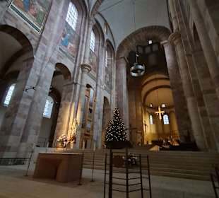 Dom zu Speyer in Speyer