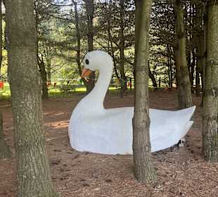 Clark's Elioak Farm