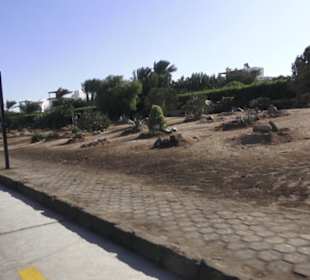 Stadtrundgang El Gouna