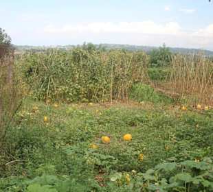 Azienda Agricola Arena Carmelo
