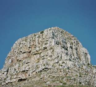 Lions Head