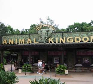 Eingang Animal Kingdom 
