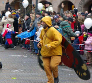 Nürnberger Faschingsumzug 21.02.