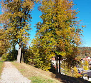 Stadtmauerrundweg