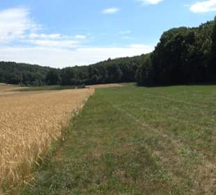 Tour entlang der Traifelbergfelsen