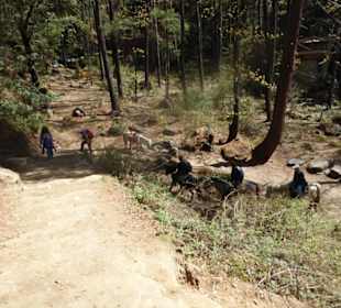 Taktsang Kloster - Tiger's Nest