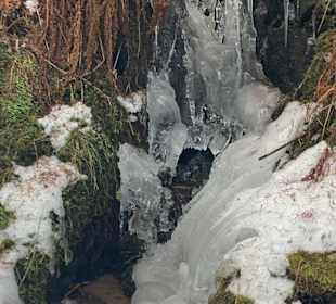 Wandern Wenigzell