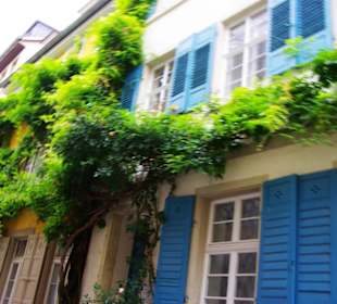 Viel Grün an den Häusern