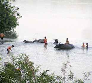 Gemeinsames Bad im Mekong