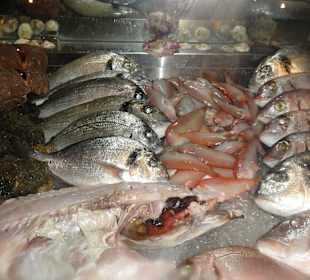 Vždy čerstvé ryby od místních rybářů