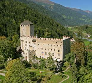 Museum Schloss Bruck, Oberleitner