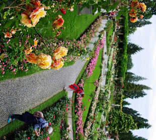 Der große Rosengarten 