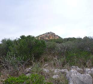 Cami de na Penyal