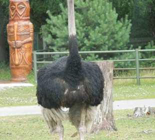 Serengeti Park Hodenhagen