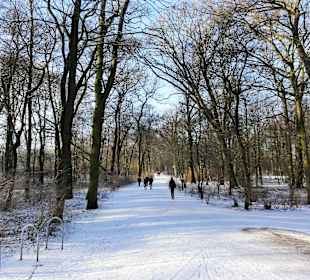 Winterspaziergang durch den Bürgerpark