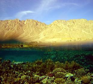 Schnorcheln Dahab