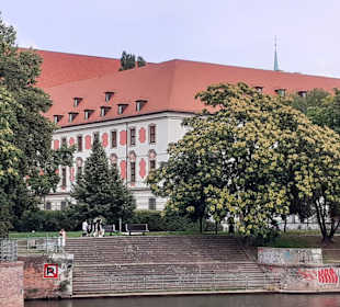 Ausblicke von der Bootstour auf der Oder